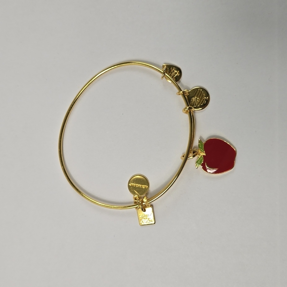 Alex And Ani Gold Tone Red Apple 2017  Charm Bracelet - Picture 15 of 15